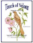 Brown Thrasher with Cherokee Rose BD-116