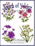 Flower of The Month - Sept. Oct. Nov. Dec.