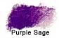 Purple Sage