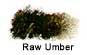 Raw Umber