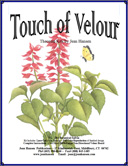 FL-284 - Botanical Salvia